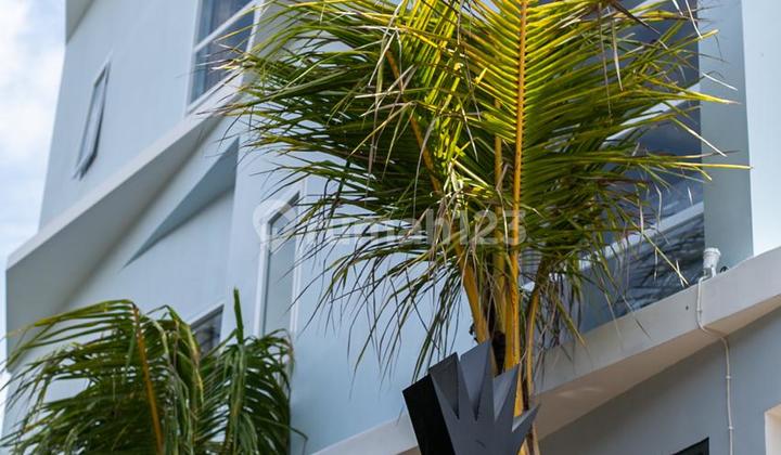 Leasehold - Profitable Turnkey Hostel For Sale In Prime Canggu - 7 Minutes To Batu Bolong Beach, Canggu, Bali 2