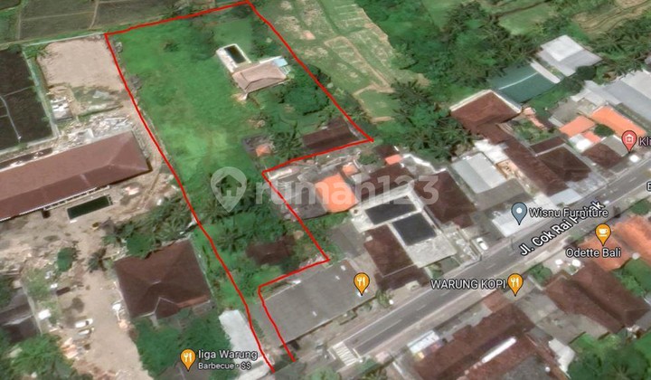 Freehold - Rare Land for Sale in Ubud - 2 Mins from Odette Ubud, Bali!