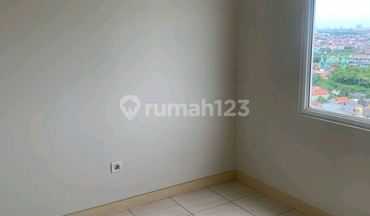 Good Price, Let's Deal Immediately Without Delay