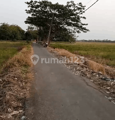 Tanah di Jalan Pulo Bunder Sukakarya Bekasi