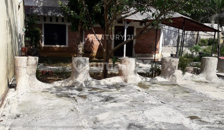TANAH DI CILUAR BOGOR                      1