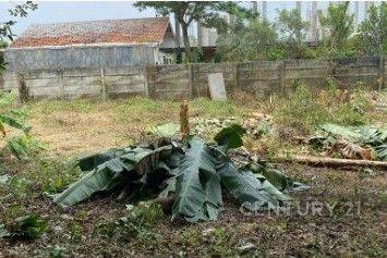 Dijual Tanah Desa Ciangsana ,gunungputri Bogor 2