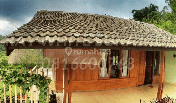 Rumah Villa Daerah Pine Hill 2