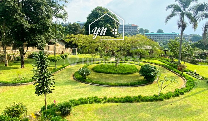 Beli Tanah Dapat Bangunan Tanah 2