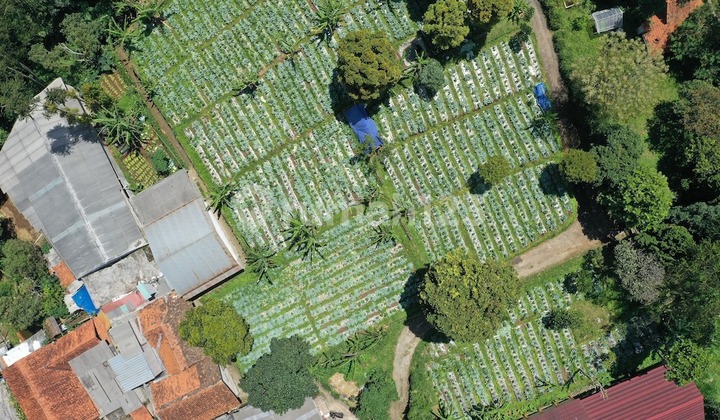 Kavling Mekarwangi Dago Giri Kab Bandung Barat Cocok Tempat Wisata Kavling Mekarwangi Dago Giri Kab Bandung Barat Cocok Tempat Wisata