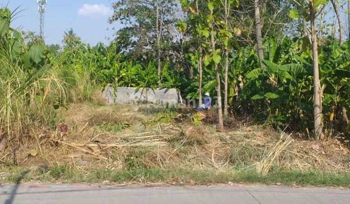 Tanah Dekat Sdk Sang Timur Pinggir Jalan Tanjungsari Pedurungan 2