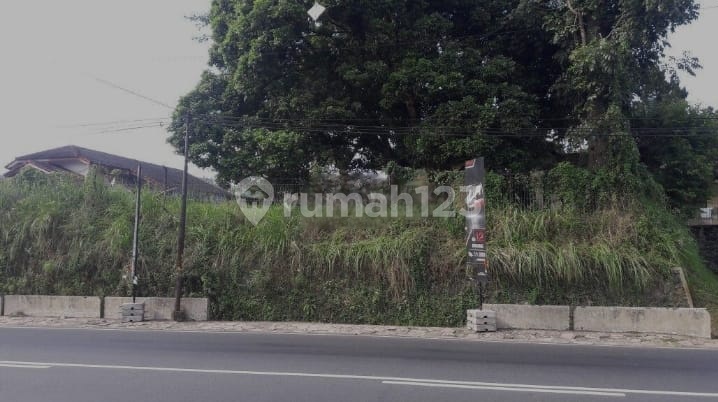 Good Land Suitable for Business by the Roadside