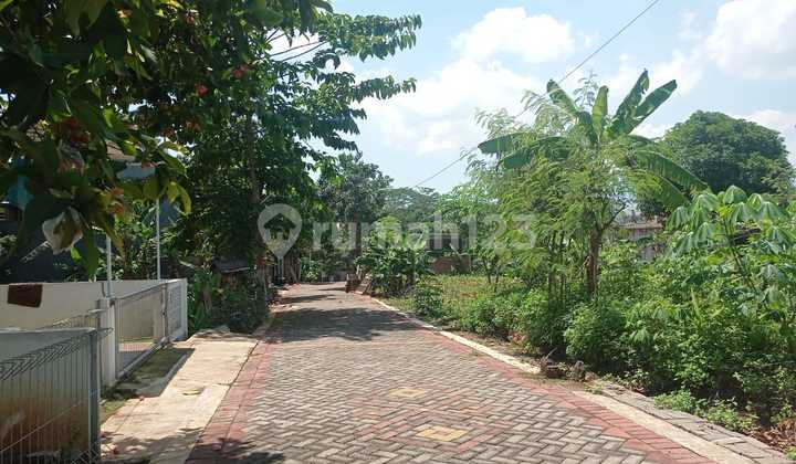 Tanah Datar Bebas Banjir Cocok untuk Kos di Undip Tembalang 2