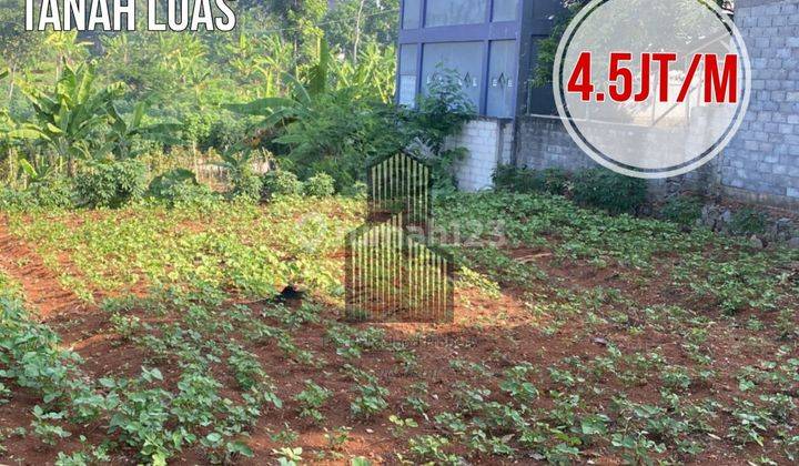 Tanah MURAH DEKAT UNDIP di BULUSAN SELATAN TEMBALANG 1