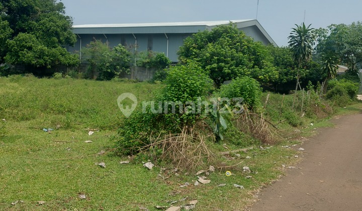 Tanah Di Jual Crpat Murah Cocok Untuk Gudang Dan Pabrik Tanah Di Jual Crpat Murah Cocok Untuk Gudang Dan Pabrik