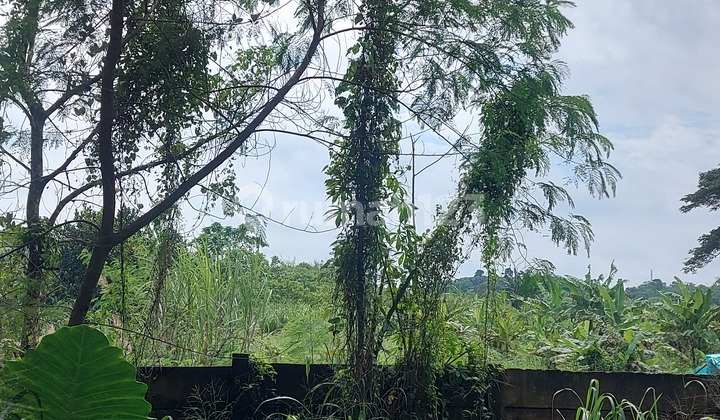 Tanah di Jual Murah Banget Lokasi Sangat Strategis Dekat BSD City