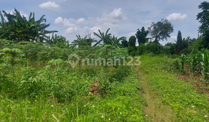 Tanah di Jual Murah Banget Pingir Jalan Raya Sangat Strategis.