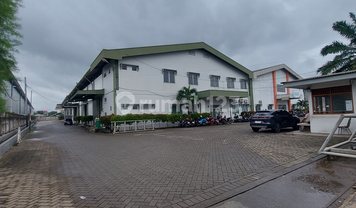 Ready-to-Use Warehouse for Quick Rent Next to Gading Serpong Tangerang.