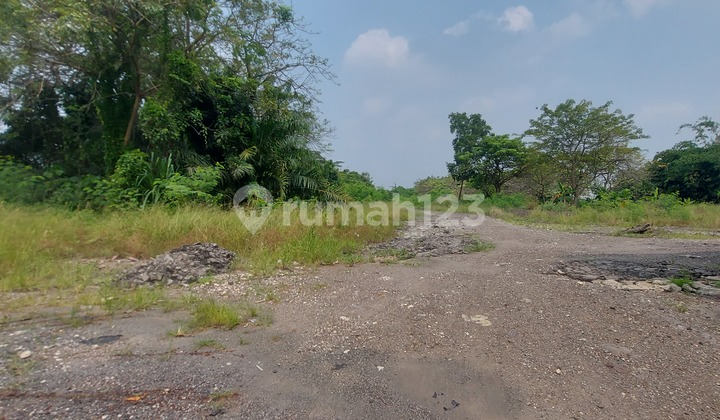 Kavling Industri di Sewa Cepat Harga Murah Dekat Bandara Soekarno Hatta. Kavling Industri di Sewa Cepat Harga Murah Dekat Bandara Soekarno Hatta.