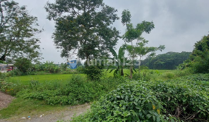 Land for Sale Cheap for Housing Location on the Side of the Main Road.