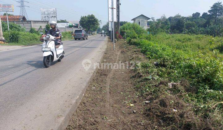Tanah Di Jual Murah Pingir Jalan Raya Dekat Pasar Korelet Strategis. 1