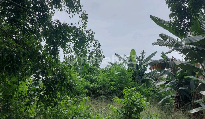 Tanah Murah Banget Lokasi Strategis Pingir Jalan Raya Utama. Tanah Murah Banget Lokasi Strategis Pingir Jalan Raya Utama.