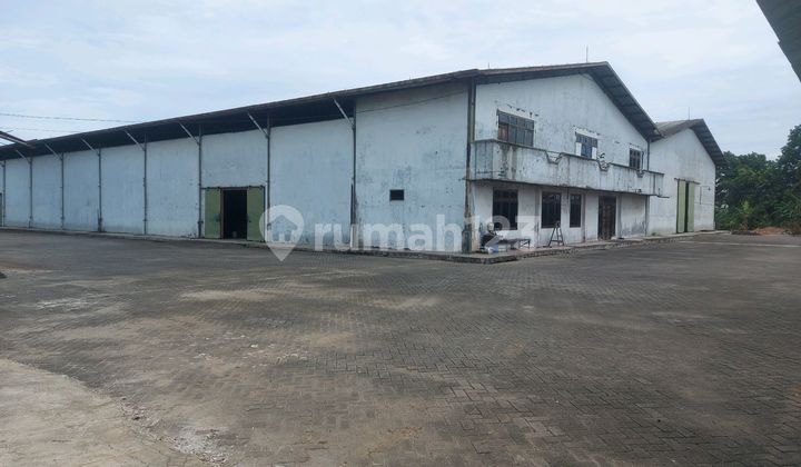 Warehouse for Sale Very Cheap, Rarely Available, Ready to Use, Strategic Location. Warehouse for Sale Very Cheap, Rarely Available, Ready to Use, Strategic Location.