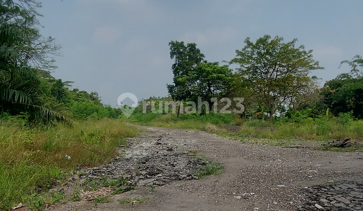 Ready-to-Build Industrial Plot for Quick Lease in a Strategic Location. Ready-to-Build Industrial Plot for Quick Lease in a Strategic Location.