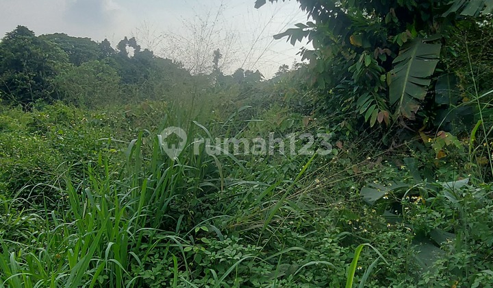 Land for Sale in Prime Location, Ideal for Hospital and University.