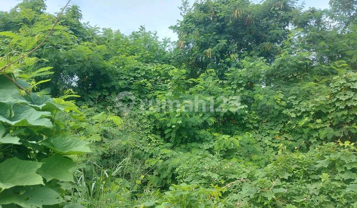 Kavling Industri Siap Bangun Gudang/Pabrik Lokasi Strategis Container 40 Feet. Kavling Industri Siap Bangun Gudang/Pabrik Lokasi Strategis Container 40 Feet.