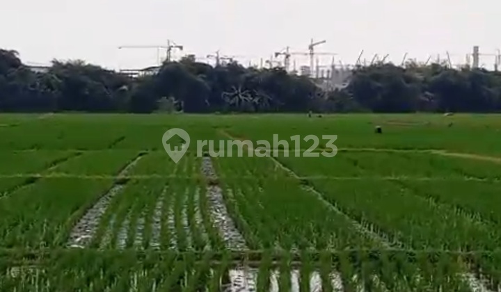 Land for Sale Cheap Strategic Location Next to Smartpolitan Subang Industrial Area. Land for Sale Cheap Strategic Location Next to Smartpolitan Subang Industrial Area.