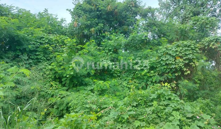 Tanah di Jual untuk Pabrik/Gudang Container 40 Feet Masuk.