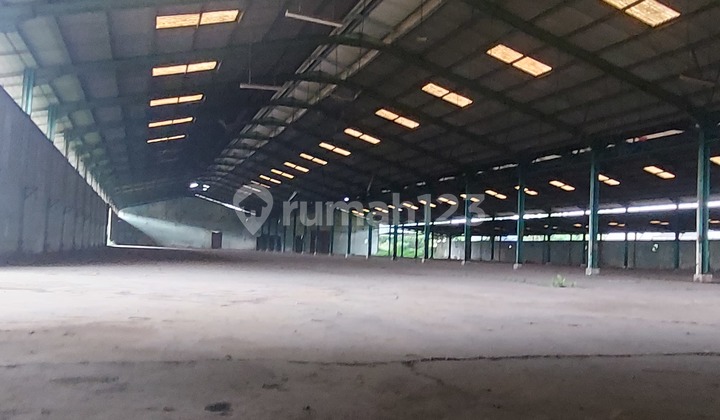 Gudang di Jual Cepat Harga Murah Banget Kontainer 40 Feet