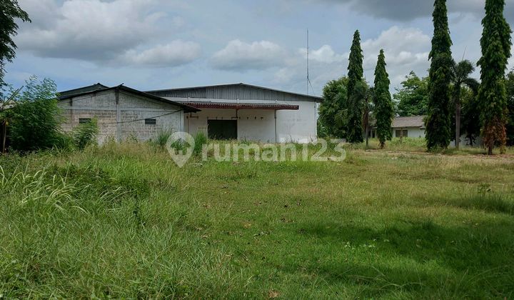 Gudang Siap Pakai Harga Murah Banget Unit Langka Jarang Ada.