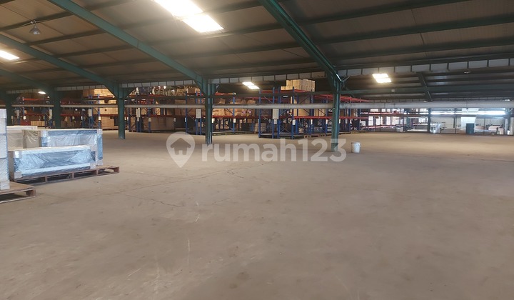 Affordable Ready-to-Use Warehouse For Quick Sale 40 Feet Container in Warehouse Area.