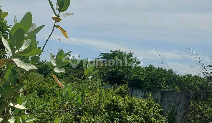 Kavling Industri di Jual Murah Banget Lokasi Strategis Container 40 Feet Maauk.