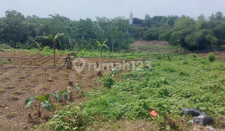 Tanah di Jual Cepat Lokasi Strategis Pingir Jalan Raya Propinsi. Tanah di Jual Cepat Lokasi Strategis Pingir Jalan Raya Propinsi.