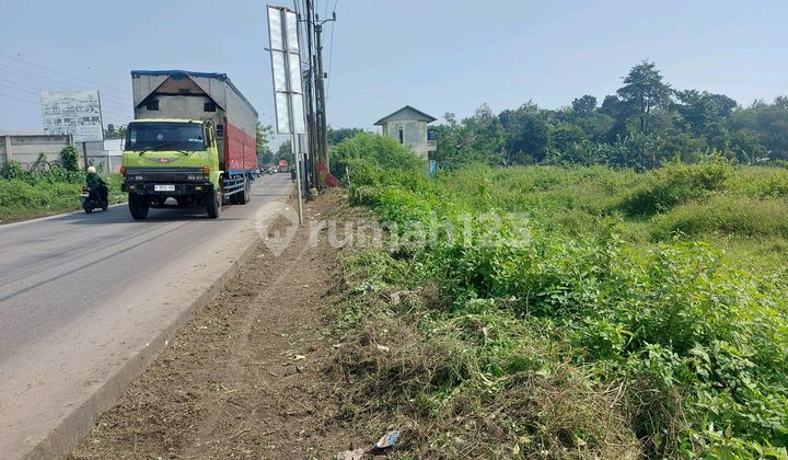 Tanah Di Jual Murah Pingir Jalan Raya Dekat Pasar Korelet Strategis.