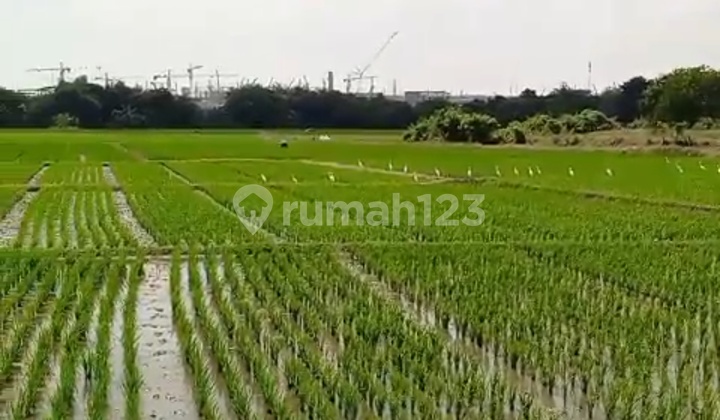 Tanah di Jual Murah Lokasi Strategis Samping Kawasan Industri Subang Smartpolitan.