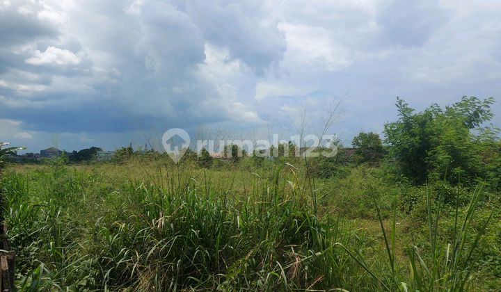 Tanah Di Jual Murah Lokasi Strategis Container 40 Feet Masuk. Tanah Di Jual Murah Lokasi Strategis Container 40 Feet Masuk.