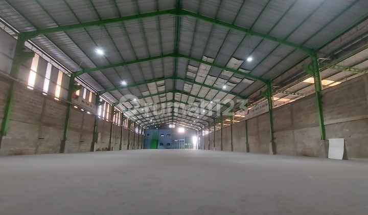 Warehouse in Dewa, Ready to Use, Cheap Price.