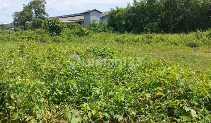 Dense Land For Rent Cheap Price Strategic Location Near Toll Road Dense Land For Rent Cheap Price Strategic Location Near Toll Road