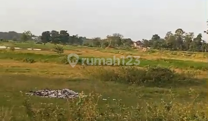 Tanah di Jual Murah Lokasi Strategis Kontainer 40 Feet Cocok untuk Perhidangan. Tanah di Jual Murah Lokasi Strategis Kontainer 40 Feet Cocok untuk Perhidangan.