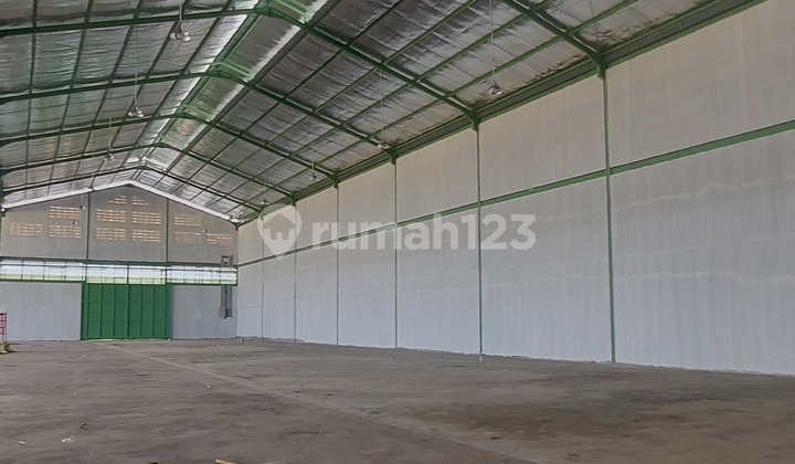 Ready-to-Use Warehouse at Affordable Price for Quick Rent, 40 Feet Container Ready-to-Use Warehouse at Affordable Price for Quick Rent, 40 Feet Container