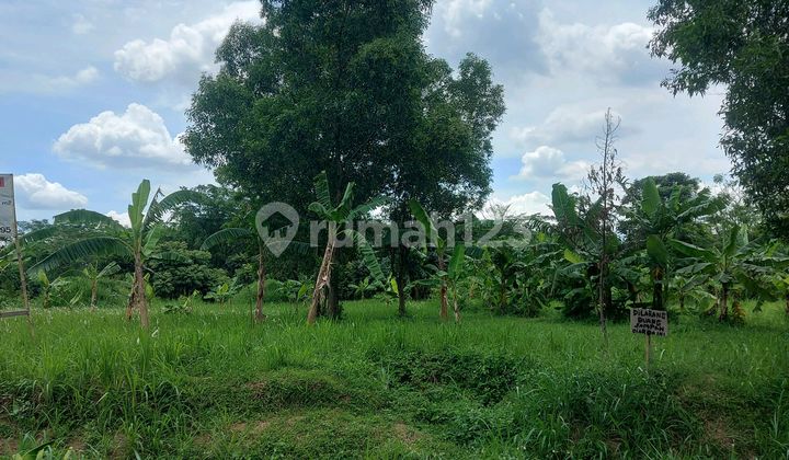 Very Cheap Land for Sale Suitable for Factories and Warehouses Very Cheap Land for Sale Suitable for Factories and Warehouses
