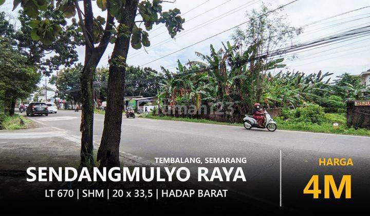 TANAH KAVLING 670m2 pinggir Jalan Raya Sendangmulyo Tembalang 1