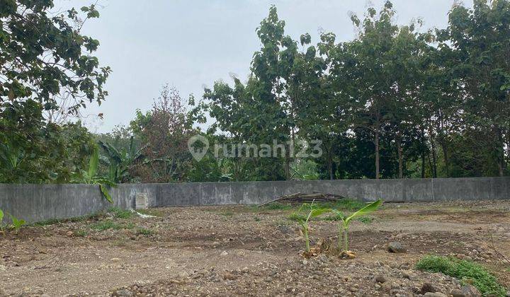 TANAH KAVLING luasan 1000m2 lokasi area Tembalang kota Semarang 1