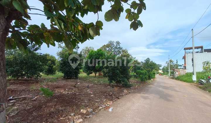 SHM Land 240m2 on Mulawarman Near Undip Tembalang Semarang 2