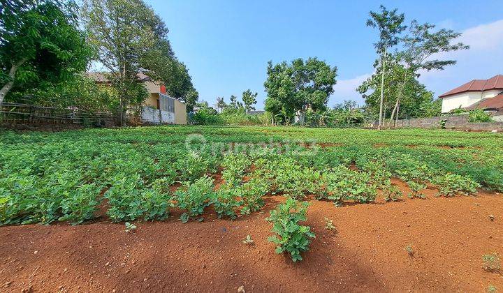 KAVLING MURAH 349m2 dekat kampus UNDIP Tembalang Semarang 1