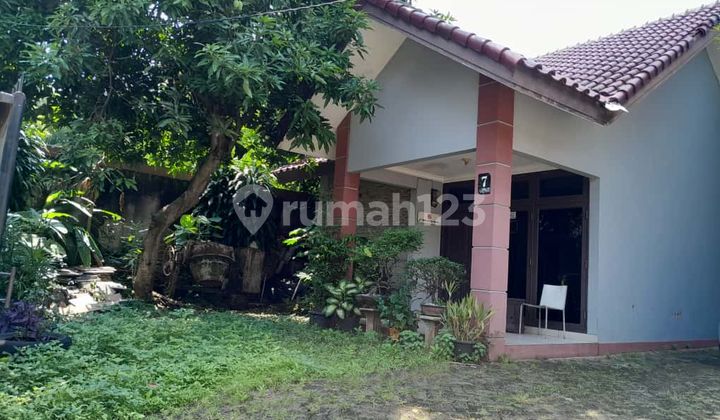 Nice House on Jl Baiti Salmah, Tegal Rotan, South Tangerang Nice House on Jl Baiti Salmah, Tegal Rotan, South Tangerang