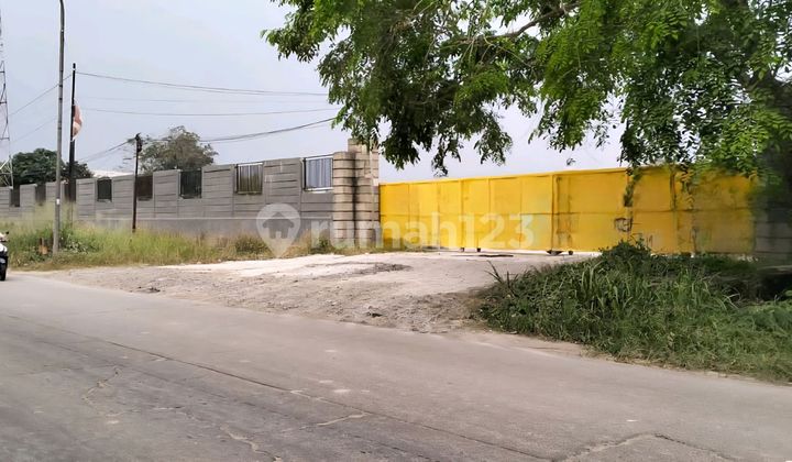 Plot Land Cikande Rangkasbitung 4.3 Hectares Plot Land Cikande Rangkasbitung 4.3 Hectares