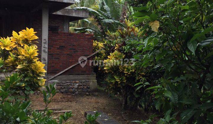 DIJUAL Pondok baru Bangunan Arsitektur Bali ( R913)  6