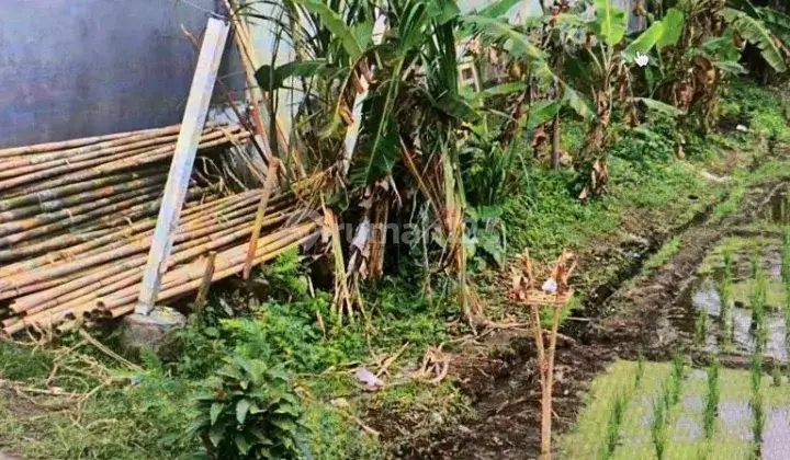 DI JUAL TANAH LOKASI PANTAI NYANYI TABANAN ( T931) 5