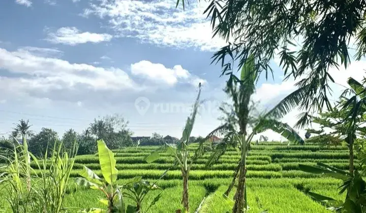 VILLA TROPIS MINIMALIS LANTAI 2
DENGAN PEMANDANGAN GUNUNG DAN
SAWAH HIJAU YG MENAWAN ( R989)  5
