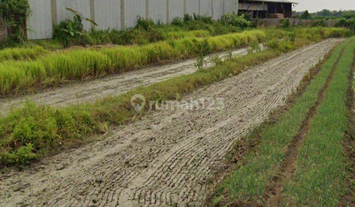 Tanah Zona Industri lokasi sekitar banyak Pabrik Gudang 2